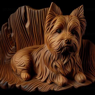 3D model Beaver is a Yorkshire terrier dog (STL)